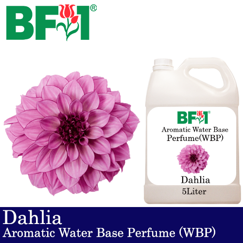 Aromatic Water Base Perfume (WBP) - Dahlia - 5L Diffuser Perfume