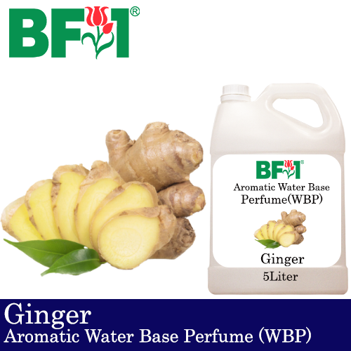 Aromatic Water Base Perfume (WBP) - Ginger - 5L Diffuser Perfume