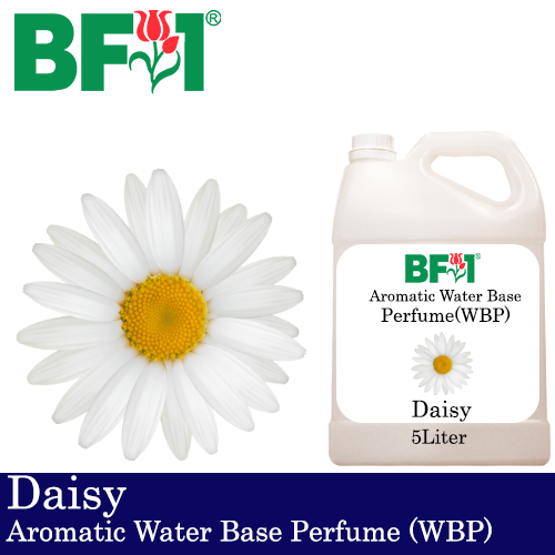 Aromatic Water Base Perfume (WBP) - Daisy - 5L Diffuser Perfume