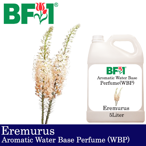 Aromatic Water Base Perfume (WBP) - Eremurus - 5L Diffuser Perfume
