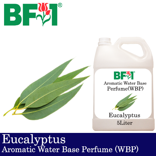 Aromatic Water Base Perfume (WBP) - Eucalyptus - 5L Diffuser Perfume