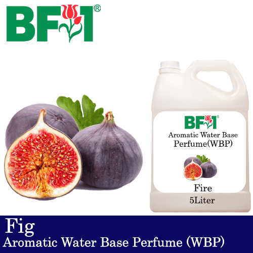 Aromatic Water Base Perfume (WBP) - Fig - 5L Diffuser Perfume