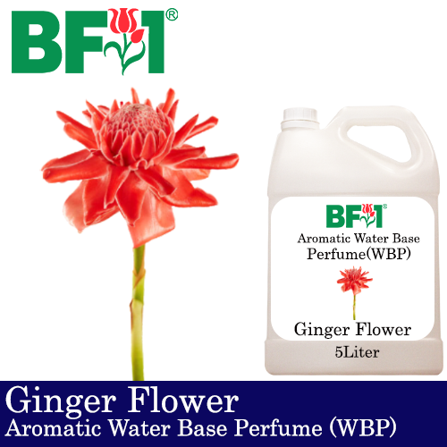Aromatic Water Base Perfume (WBP) - Ginger Flower - 5L Diffuser Perfume