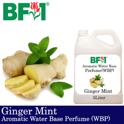 Aromatic Water Base Perfume (WBP) - Ginger Mint - 5L Diffuser Perfume
