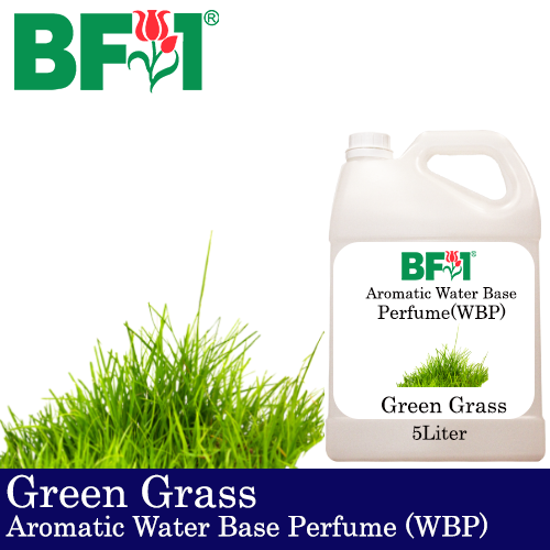 Aromatic Water Base Perfume (WBP) - Green Grass - 5L Diffuser Perfume
