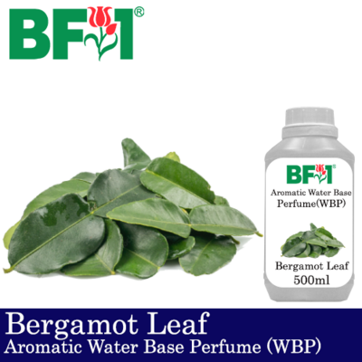 Aromatic Water Base Perfume (WBP) - Bergamot Leaf - 500ml Diffuser Perfume