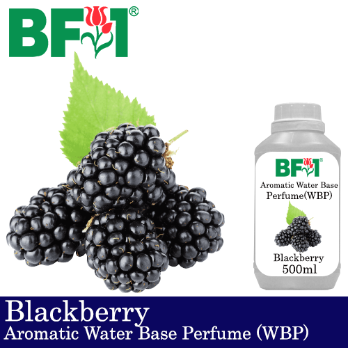 Aromatic Water Base Perfume (WBP) - Blackberry - 500ml Diffuser Perfume
