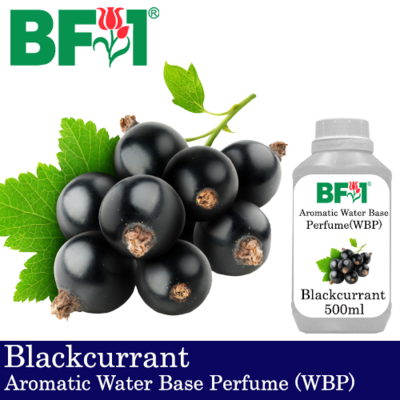 Aromatic Water Base Perfume (WBP) - Blackcurrant - 500ml Diffuser Perfume