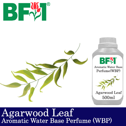 Aromatic Water Base Perfume (WBP) - Agarwood Leaf - 500ml Diffuser Perfume