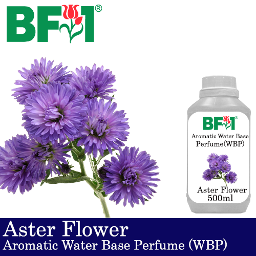 Aromatic Water Base Perfume (WBP) - Aster Flower - 500ml Diffuser Perfume