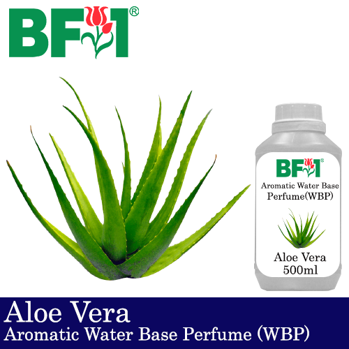 Aromatic Water Base Perfume (WBP) - Aloe Vera - 500ml Diffuser Perfume