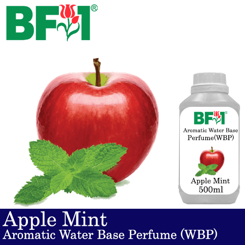 Aromatic Water Base Perfume (WBP) - Apple Mint - 500ml Diffuser Perfume