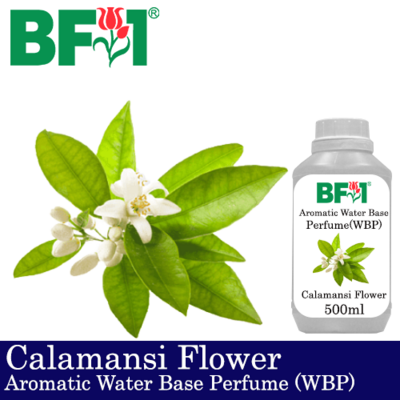 Aromatic Water Base Perfume (WBP) - Calamansi Flower - 500ml Diffuser Perfume