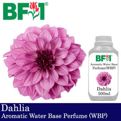 Aromatic Water Base Perfume (WBP) - Dahlia - 500ml Diffuser Perfume