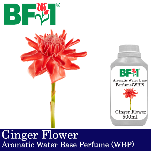 Aromatic Water Base Perfume (WBP) - Ginger Flower - 500ml Diffuser Perfume
