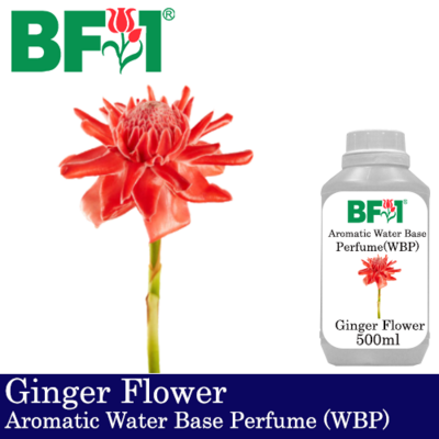 Aromatic Water Base Perfume (WBP) - Ginger Flower - 500ml Diffuser Perfume