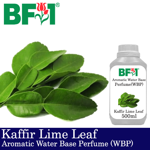 Aromatic Water Base Perfume (WBP) - Kaffir Lime Leaf - 500ml Diffuser Perfume