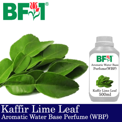 Aromatic Water Base Perfume (WBP) - Kaffir Lime Leaf - 500ml Diffuser Perfume