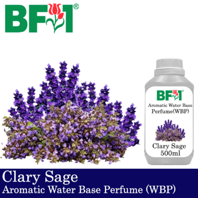 Aromatic Water Base Perfume (WBP) - Clary Sage - 500ml Diffuser Perfume