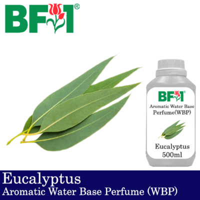 Aromatic Water Base Perfume (WBP) - Eucalyptus - 500ml Diffuser Perfume
