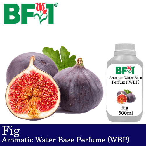 Aromatic Water Base Perfume (WBP) - Fig - 500ml Diffuser Perfume