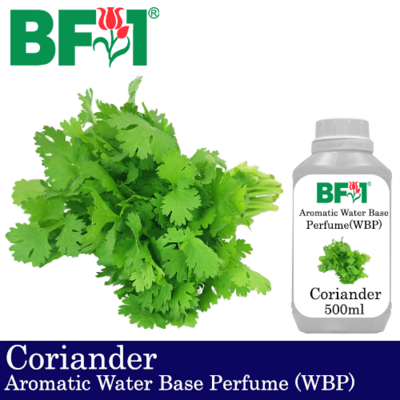Aromatic Water Base Perfume (WBP) - Coriander - 500ml Diffuser Perfume