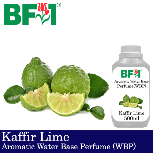 Aromatic Water Base Perfume (WBP) - Kaffir Lime - 500ml Diffuser Perfume