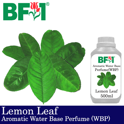 Aromatic Water Base Perfume (WBP) - Lemon Leaf - 500ml Diffuser Perfume