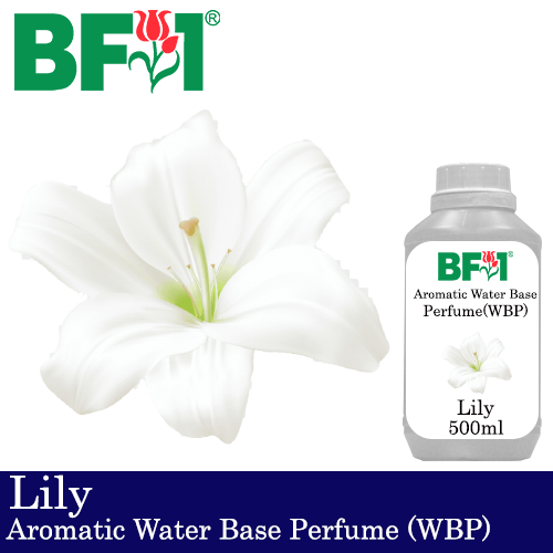 Aromatic Water Base Perfume (WBP) - Lily - 500ml Diffuser Perfume