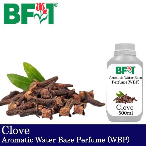 Aromatic Water Base Perfume (WBP) - Clove - 500ml Diffuser Perfume