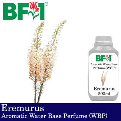 Aromatic Water Base Perfume (WBP) - Eremurus - 500ml Diffuser Perfume