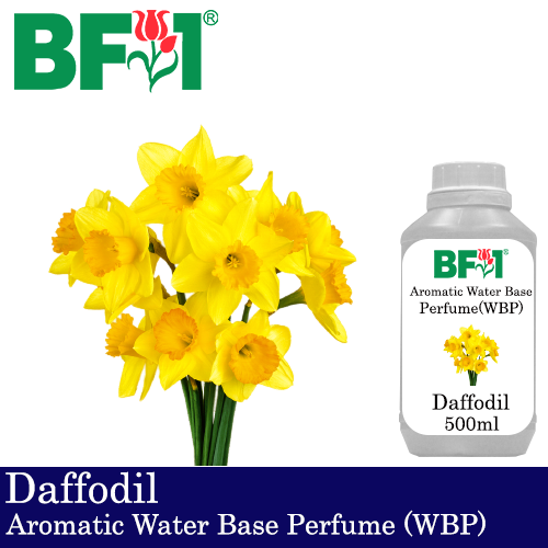 Aromatic Water Base Perfume (WBP) - Daffodil - 500ml Diffuser Perfume