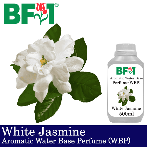 Aromatic Water Base Perfume (WBP) - Jasmine White Jasmine - 500ml Diffuser Perfume