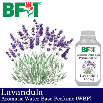 Aromatic Water Base Perfume (WBP) - Lavandula - 500ml Diffuser Perfume