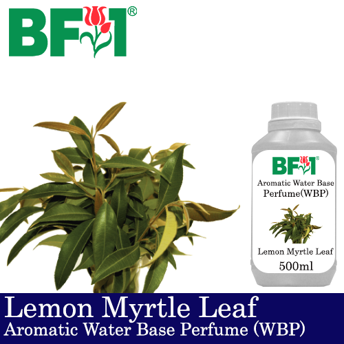 Aromatic Water Base Perfume (WBP) - Lemon Myrtle Leaf - 500ml Diffuser Perfume