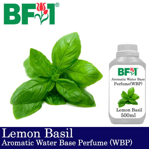 Aromatic Water Base Perfume (WBP) - Lemon Basil - 500ml Diffuser Perfume