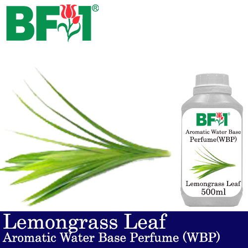 Aromatic Water Base Perfume (WBP) - Lemongrass Leaf - 500ml Diffuser Perfume