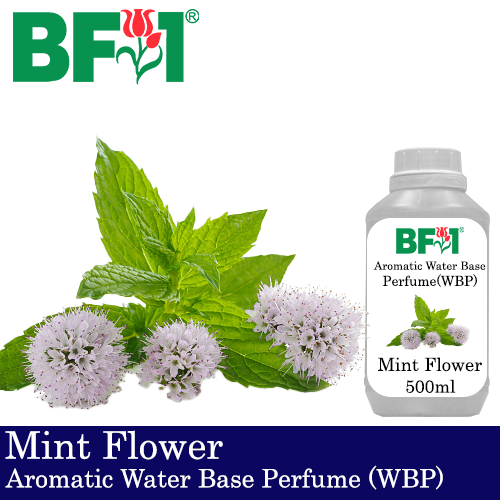 Aromatic Water Base Perfume (WBP) - Mint Flower - 500ml Diffuser Perfume