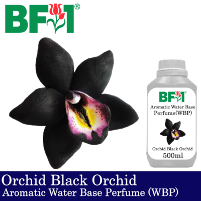 Aromatic Water Base Perfume (WBP) - Orchid Black Orchid - 500ml Diffuser Perfume
