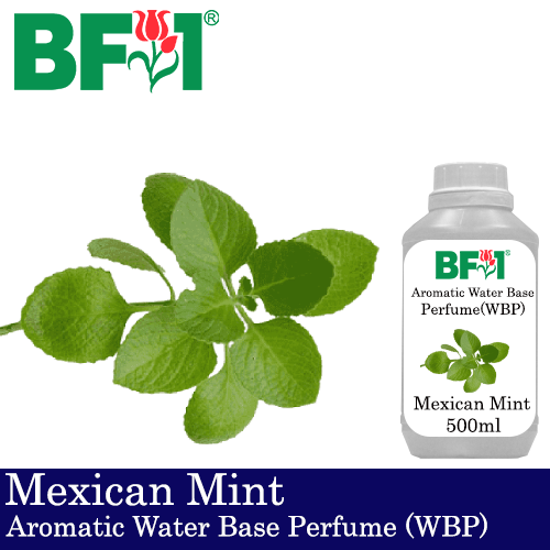 Aromatic Water Base Perfume (WBP) - Mexican Mint - 500ml Diffuser Perfume