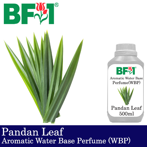 Aromatic Water Base Perfume (WBP) - Pandan Leaf - 500ml Diffuser Perfume