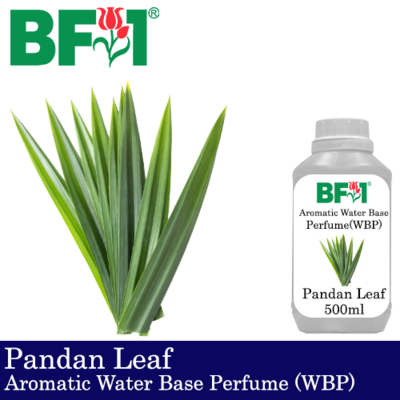 Aromatic Water Base Perfume (WBP) - Pandan Leaf - 500ml Diffuser Perfume