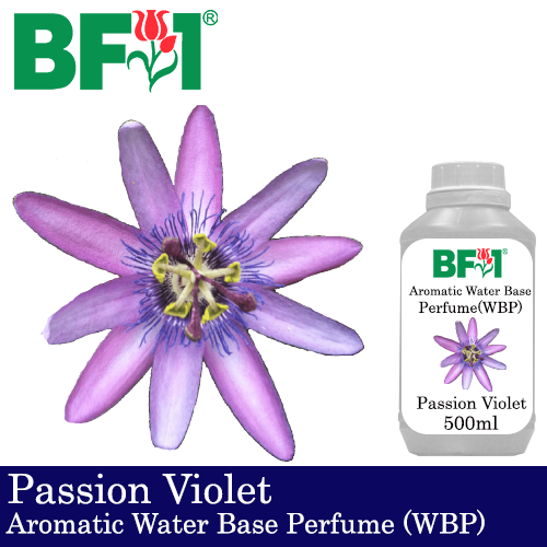 Aromatic Water Base Perfume (WBP) - Passion Violet - 500ml Diffuser Perfume