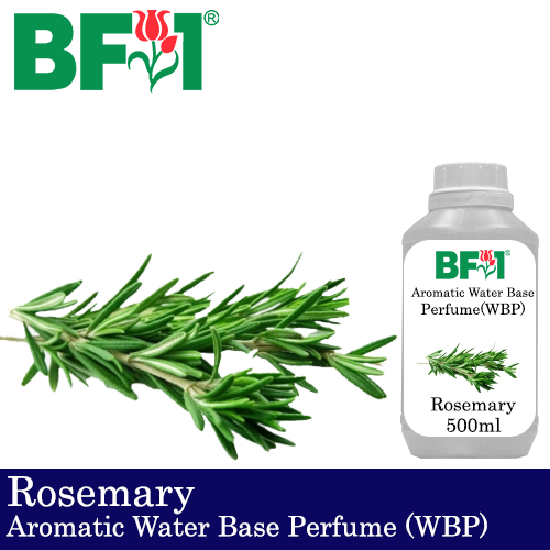 Aromatic Water Base Perfume (WBP) - Rosemary - 500ml Diffuser Perfume