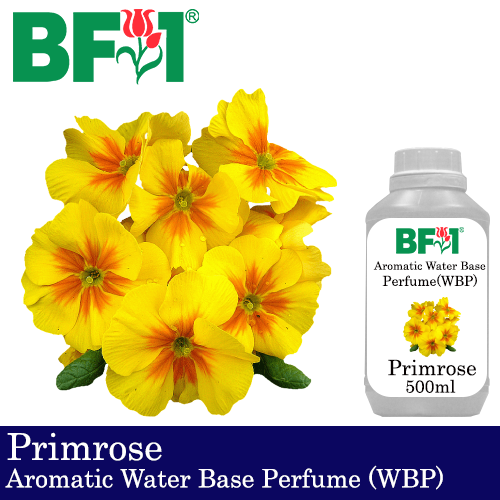 Aromatic Water Base Perfume (WBP) - Primrose - 500ml Diffuser Perfume