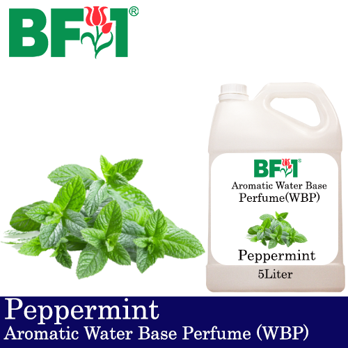 Aromatic Water Base Perfume (WBP) - Peppermint - 500ml Diffuser Perfume