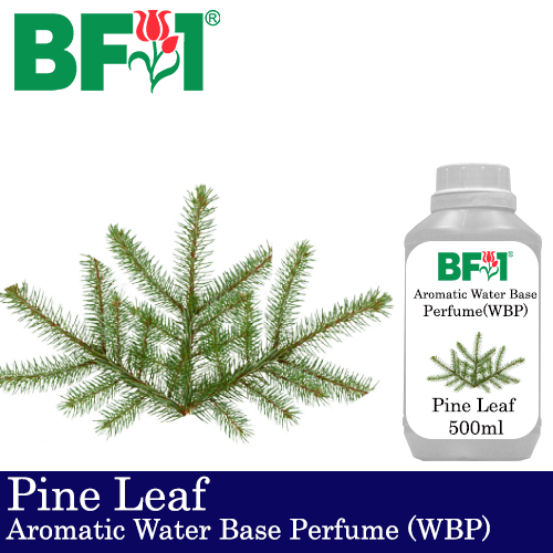 Aromatic Water Base Perfume (WBP) - Pine Leaf - 500ml Diffuser Perfume