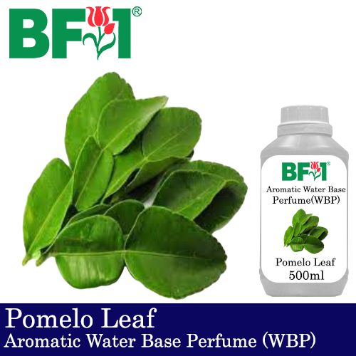 Aromatic Water Base Perfume (WBP) - Pomelo Leaf - 500ml Diffuser Perfume