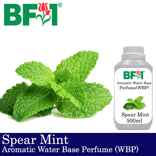 Aromatic Water Base Perfume (WBP) - Spear Mint - 500ml Diffuser Perfume