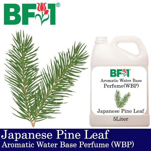 Aromatic Water Base Perfume (WBP) - Japanese Pine Leaf - 5L Diffuser Perfume